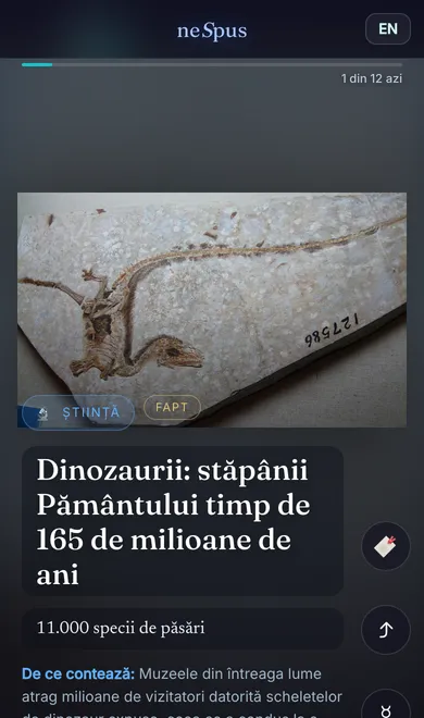 neSpus: Mobile